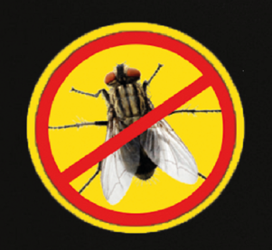 Insect Bestrijding en Preventie